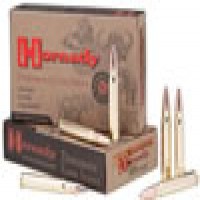 Hornady Dangerous Game X Spire Point Recoil Proof Ammo
