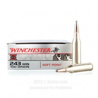 Winchester PP Ammo