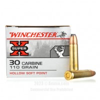 Winchester HSP Ammo