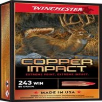 Copper Impact CEP Ammo