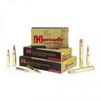 Custom SST Ammo