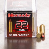 Bulk Mag Hornady V-MAX Polymer Tip Ammo