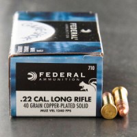 Federal Game Shok HV CP Solid Point Ammo