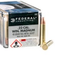 Ammo Federal FMJ Ammo