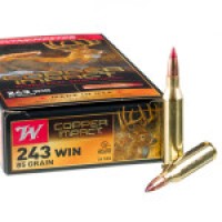 243 Win Ammo - Ammo Winchester Copper Impact Extreme Point Ammo Winchester Copper Impact Extreme Point Ammo