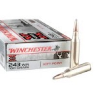 Ammo Winchester PP Ammo