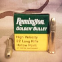 Bulk Remington HP Ammo