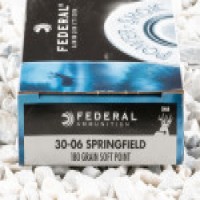 Federal SP Ammo
