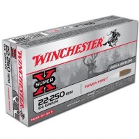 Winchester Super X Remington PP Ammo