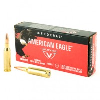 Fed Valkrie 20- TMJ Ammo