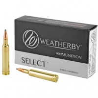 Ammo Int Ammo