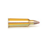 Hornady Hunting V-Max Ammo