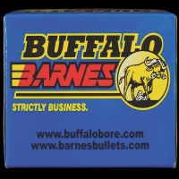 Buffalo Bore Barnes TSX Ammo