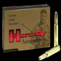 Hornady DGS Dangerous Game Solid 6 Ammo