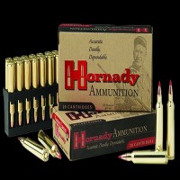 Hornady Dangerous Game Solid Ammo