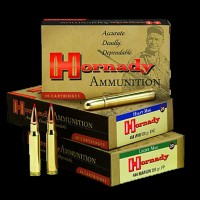 Hornady Dangerous Game Express Ammo