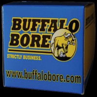 Buffalo Bore Lead Flat Nose Ammo