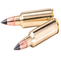 Deer Season XP Copper Impact Brass Winchester Extreme Point $12.99 Shipping on Unlimited Boxes Ammo