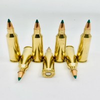 Remington Sierra Blitzking Brass No Limit MADE IN THE USA Ammo