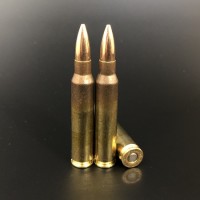Bulk SS109 Brass LIMIT-MADE IN THE USA FMJ Ammo