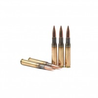 PMC Bronze Boat Tail FMJ Ammo