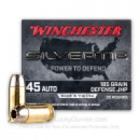Winchester Silvertip JHP Ammo