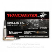 Polymer Tip Winchester Ballistic Silvertip Ammo