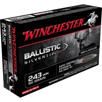 Winchester Ballistic Silvertip Ammo