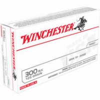 Winchester Open Tip Range Brass Case Ammo