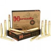 Hornady Dangerous Game Series DGS Ammo