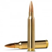 Norma MATCH Brass Cased Centerfire Ammo