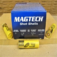 Magtech Loaded With TTT Size Lead Ammo