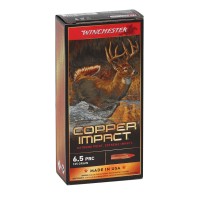 Winchester Copper Impact Extreme Point Of Free Shipping Brass Ammo