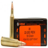 HSM Remington PSP Ammo