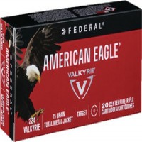 FED Valkrie 20- TMJ Ammo