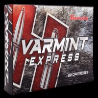 Hornady Ammo