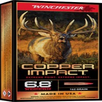 Winchester Copper Impact Extreme Point Lead-Free 10 Ammo