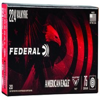 Federal American Eagle TMJ Ammo