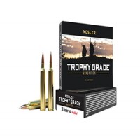 Trophy Grade AccuBond Ammo