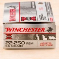Winchester Super X Rem SP Ammo