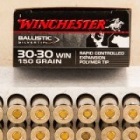 Silvertip PT Ammo
