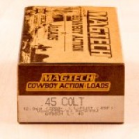 Magtech LFN Ammo