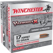 17 Hornet Ammo