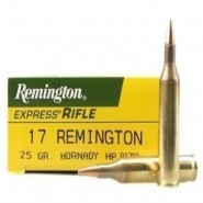 17 Remington Ammo