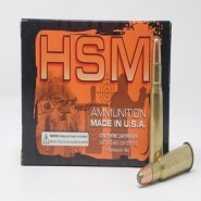 348 Winchester Ammo