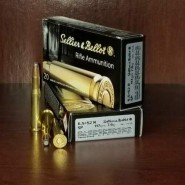 25-35 Winchester Ammo